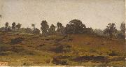 unknow artist View of a Field oil painting reproduction